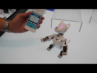 robot dog omnibot i-sodog from takara tomy