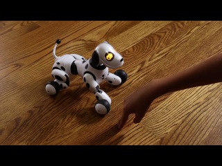 zoomer - robot dog wagging its tail